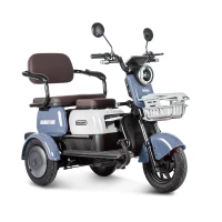 Электротрицикл Rutrike Gelbert Sun 48V/60V 650Вт Фиолетово-белый