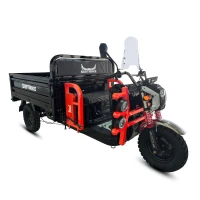 Грузовой электротрицикл WHITE SIBERIA SIBTRIKE CARGO 1.8